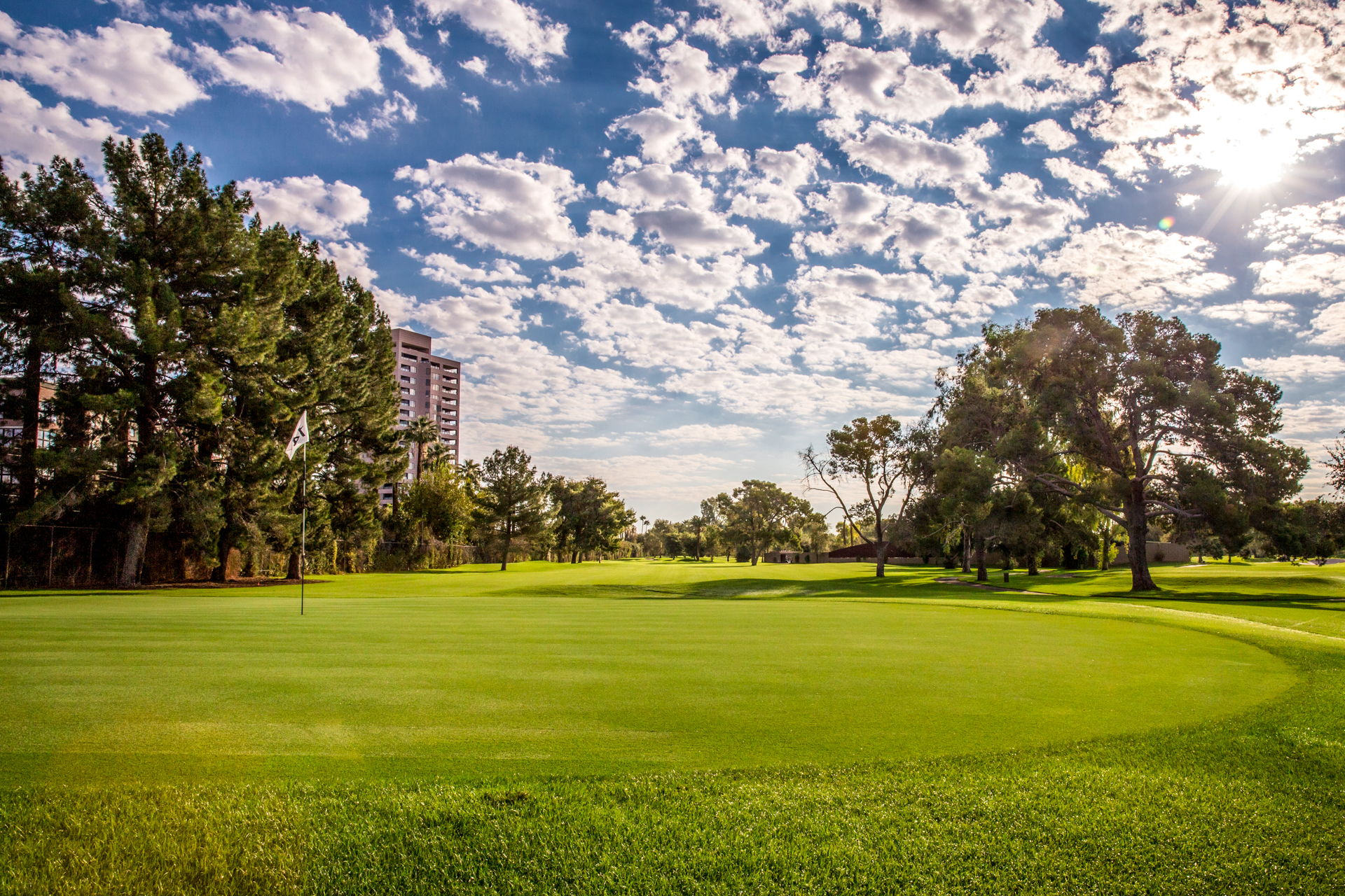 Phoenix Country Club - Course