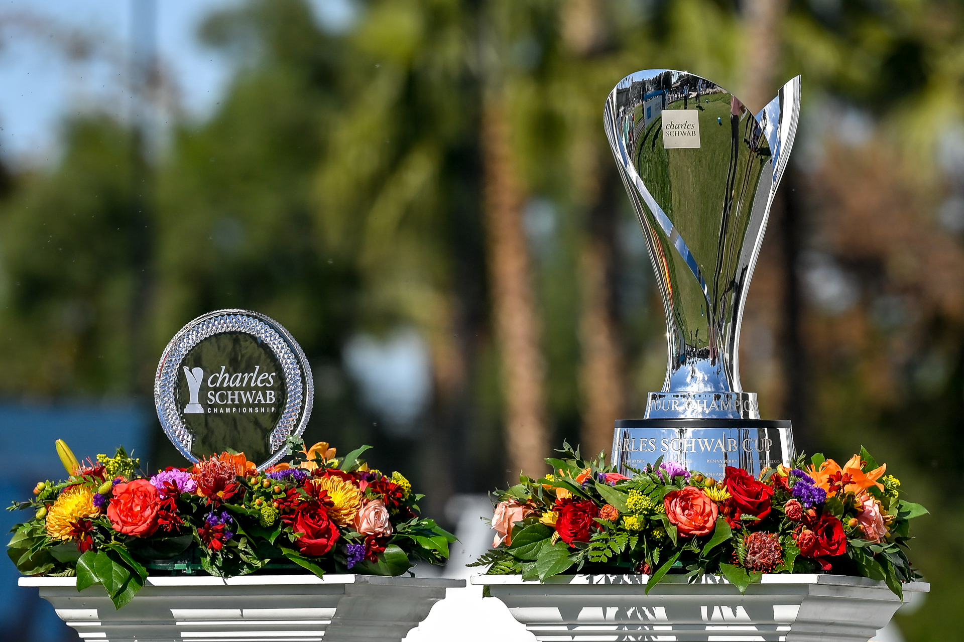 Charles Schwab Cup Championship Fan Guide